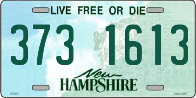 NH license plate 3731613