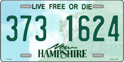 NH license plate 3731624