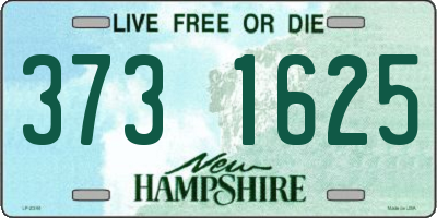 NH license plate 3731625
