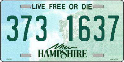 NH license plate 3731637