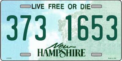NH license plate 3731653