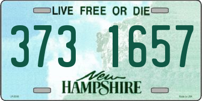 NH license plate 3731657