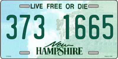 NH license plate 3731665