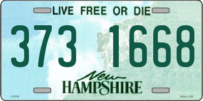 NH license plate 3731668