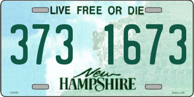 NH license plate 3731673