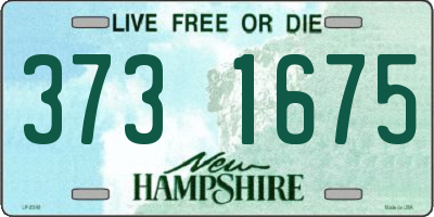 NH license plate 3731675