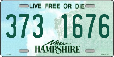 NH license plate 3731676