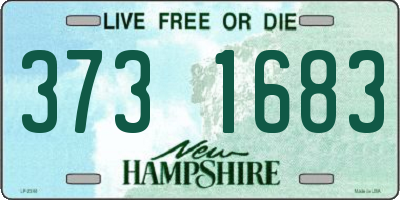 NH license plate 3731683