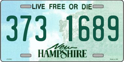 NH license plate 3731689