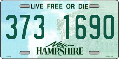 NH license plate 3731690