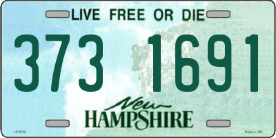 NH license plate 3731691