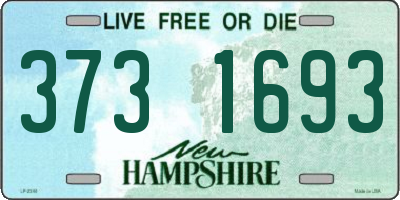 NH license plate 3731693