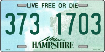 NH license plate 3731703