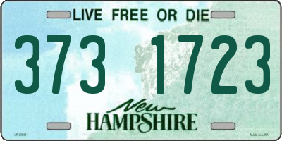 NH license plate 3731723
