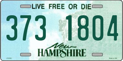 NH license plate 3731804