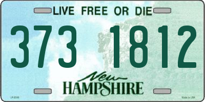 NH license plate 3731812