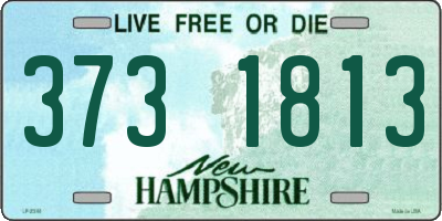 NH license plate 3731813
