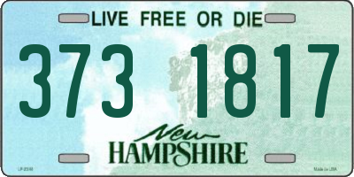 NH license plate 3731817