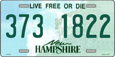 NH license plate 3731822