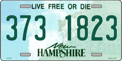 NH license plate 3731823