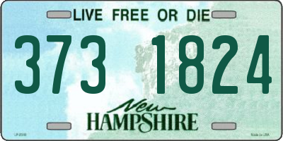 NH license plate 3731824