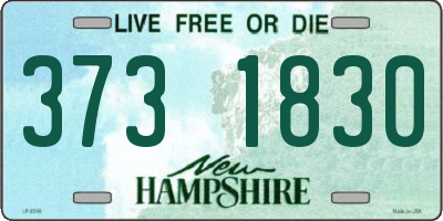 NH license plate 3731830
