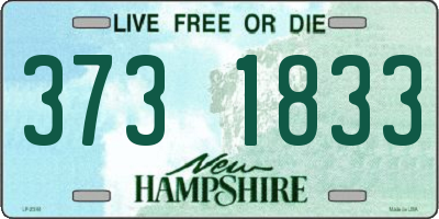 NH license plate 3731833
