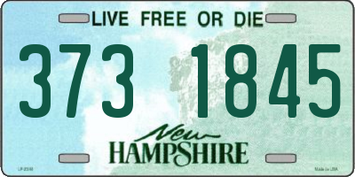 NH license plate 3731845