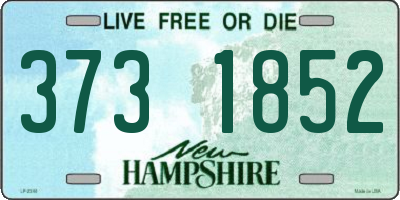 NH license plate 3731852