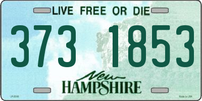NH license plate 3731853