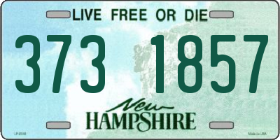 NH license plate 3731857