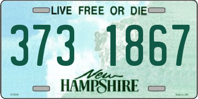 NH license plate 3731867