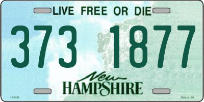 NH license plate 3731877