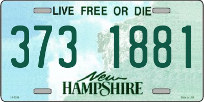 NH license plate 3731881