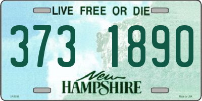 NH license plate 3731890