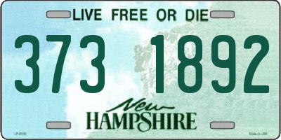 NH license plate 3731892