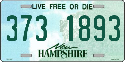 NH license plate 3731893