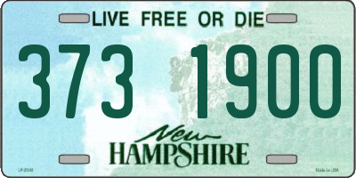 NH license plate 3731900