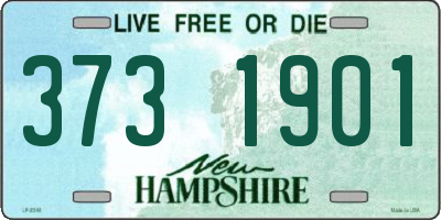 NH license plate 3731901