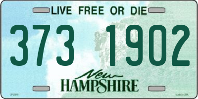 NH license plate 3731902
