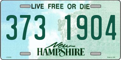 NH license plate 3731904