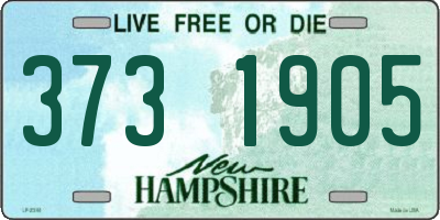 NH license plate 3731905