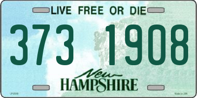 NH license plate 3731908