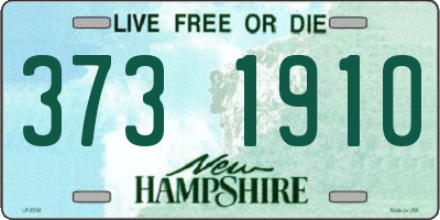 NH license plate 3731910