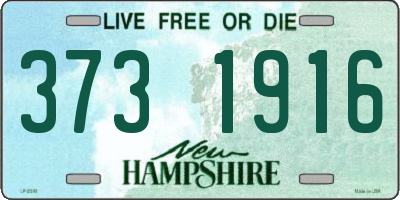 NH license plate 3731916