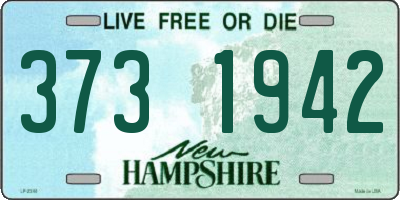 NH license plate 3731942