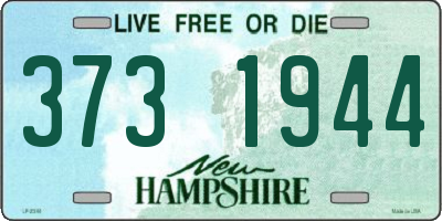 NH license plate 3731944