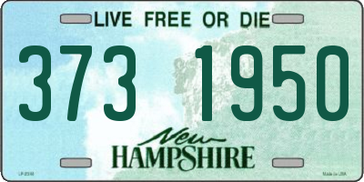NH license plate 3731950