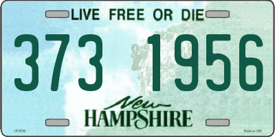 NH license plate 3731956