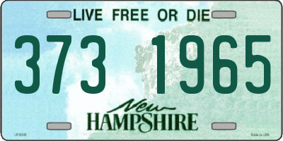 NH license plate 3731965